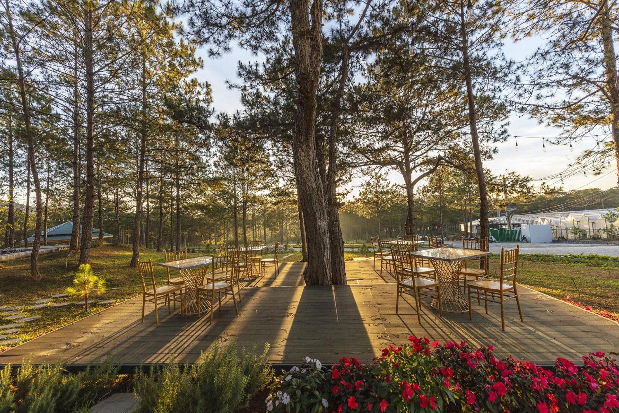 Rừng Lá Kim Resort Dalat Exterior foto