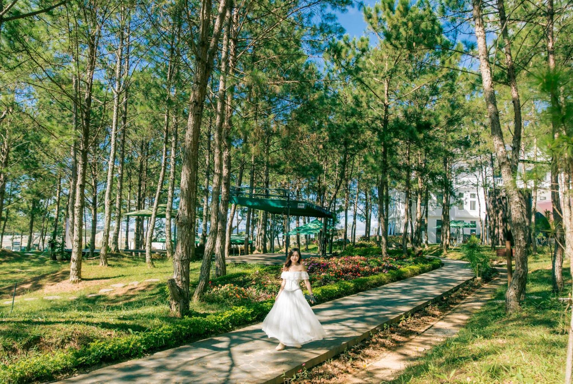 Rừng Lá Kim Resort Dalat Exterior foto